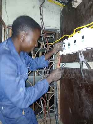 Professional ELECTRICIAN