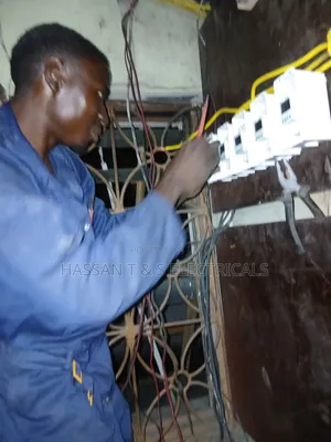 Professional Electrician