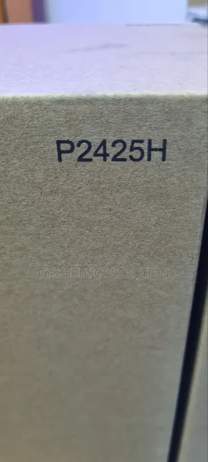 Dell P2425H