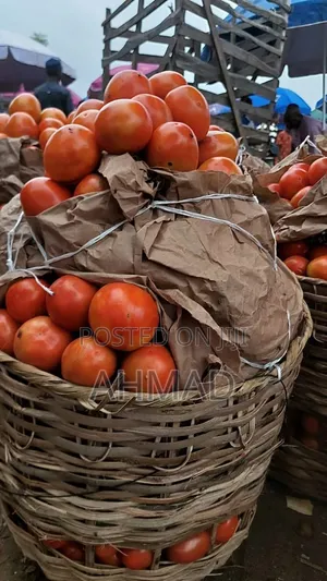 Ahmad Tomatoes and Onions