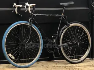 Sport Bicycle