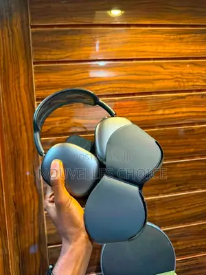 Airpods Max (Highest Grade)