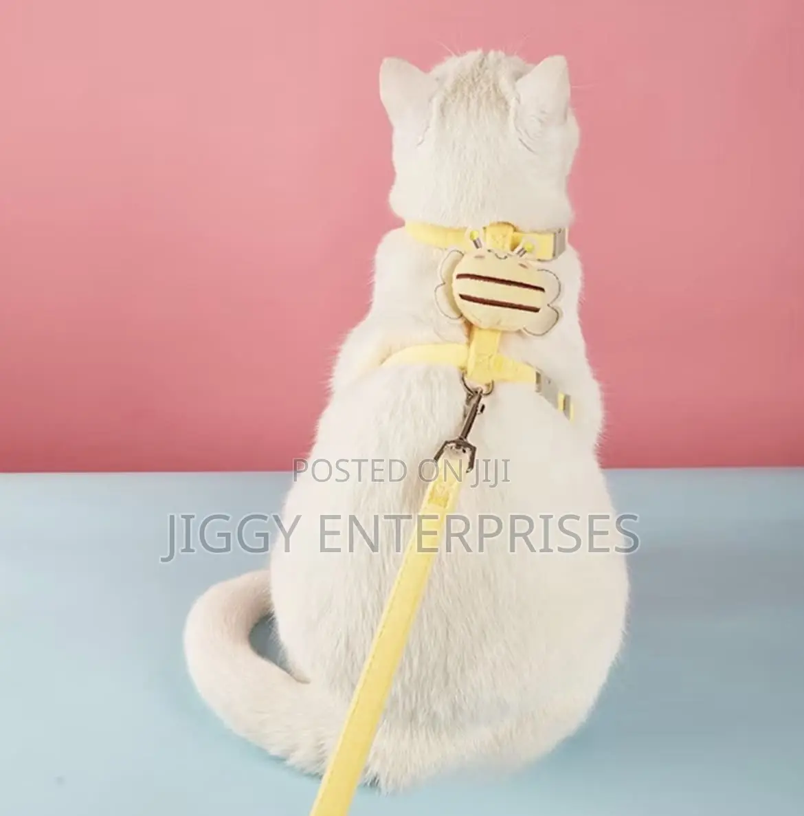 Dog/Cat Leash