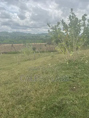 Plot of Land Available for Sale