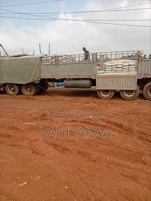 Sound Dangote Cement