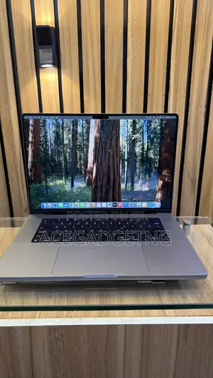 Laptop Apple MacBook Pro 2021 M1 Max 64GB Apple M1 Max SSHD+SSD 4T