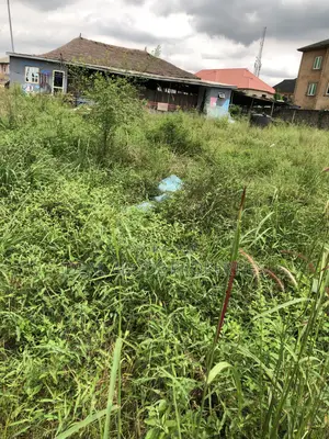 Half Plot of Land