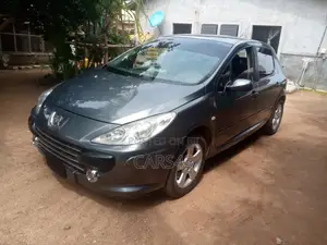 Peugeot 307 2007 Gray