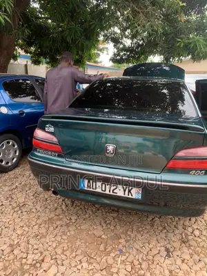 Peugeot 406 3.0 V6 Coupe Platinum 2004 Green