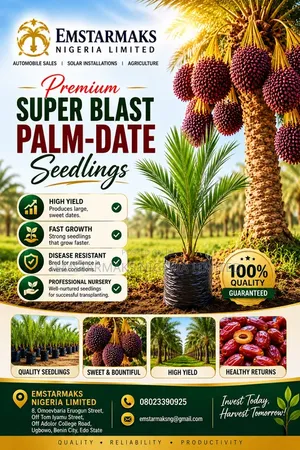 Date Palm Seedlings (Foreign)