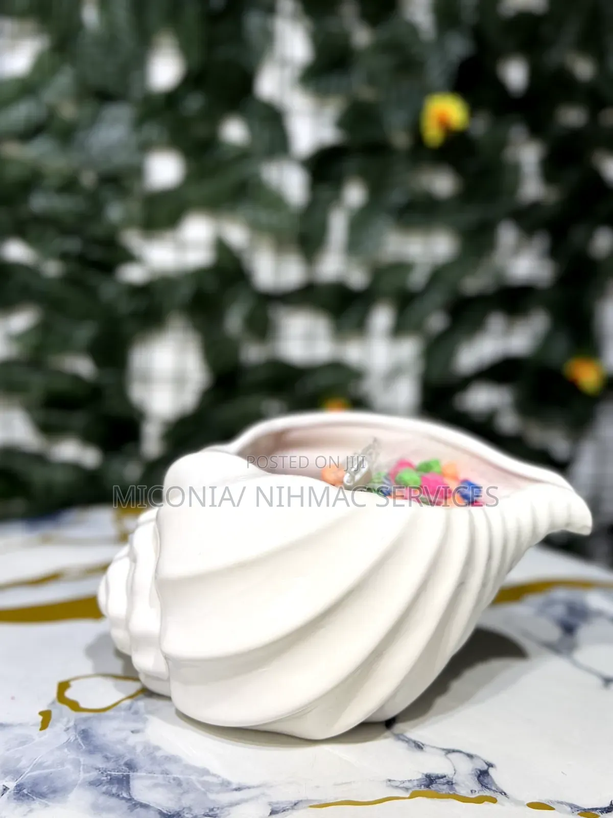 Decorative Shell Bowl