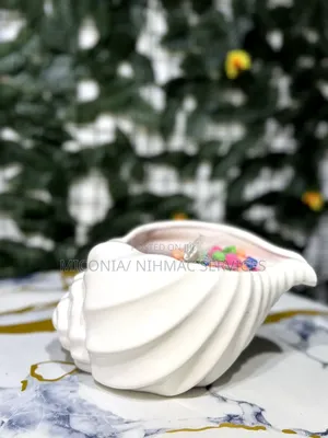 Decorative Shell Bowl
