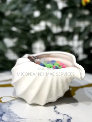 Decorative Shell Bowl