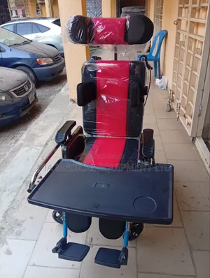 Executive Wheelchair
