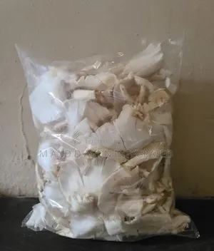 Fresh Mushroom