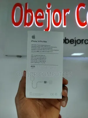 Apple Type C to Lighting Charger