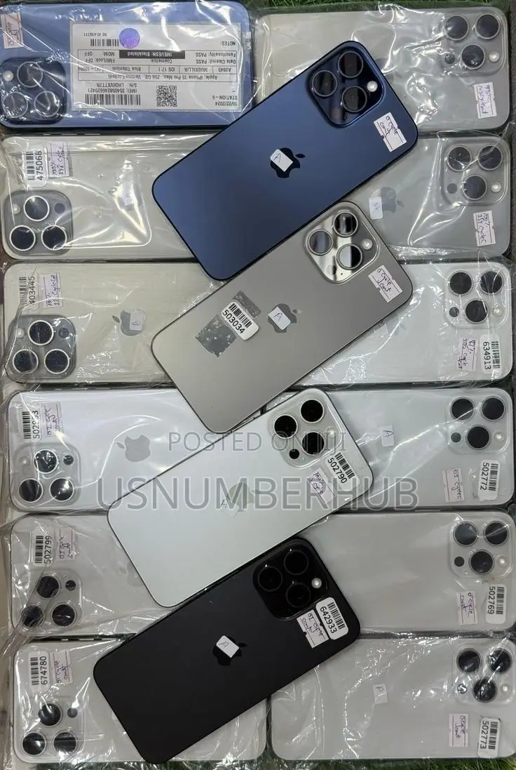 Apple iPhone 15 Pro Max 256 GB Silver