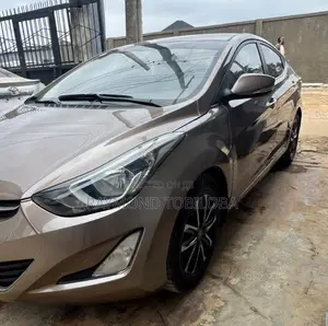 Hyundai Elantra 2014 Gray