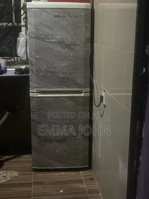 Double Door Standing Fridge