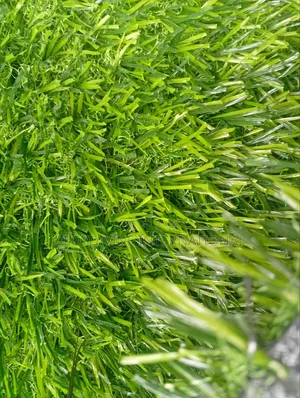 Top Quality Grass Carpet 30mm
