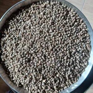 Papaya Seed (Paw Paw)100g