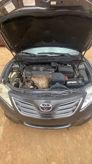 Toyota Camry 2010 Gray