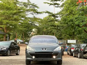Peugeot 307 2006 Gray