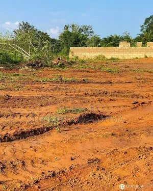Elite Haven Phase 3 at Ibusa Asaba