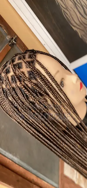 360 Glueless Braided Wig