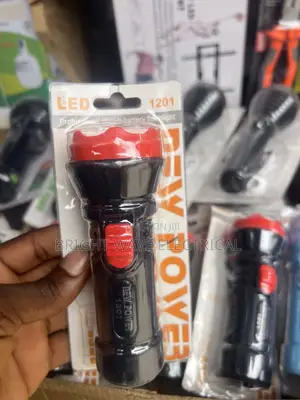 Torch Light