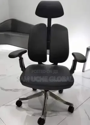 Executive Orthopedic Chair