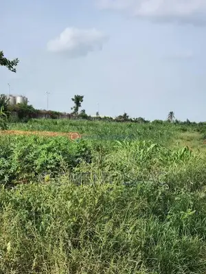 One Plot of Land