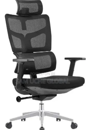Executive Orthopedic Chair