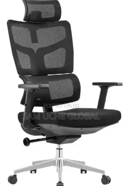 Executive Orthopedic Chair