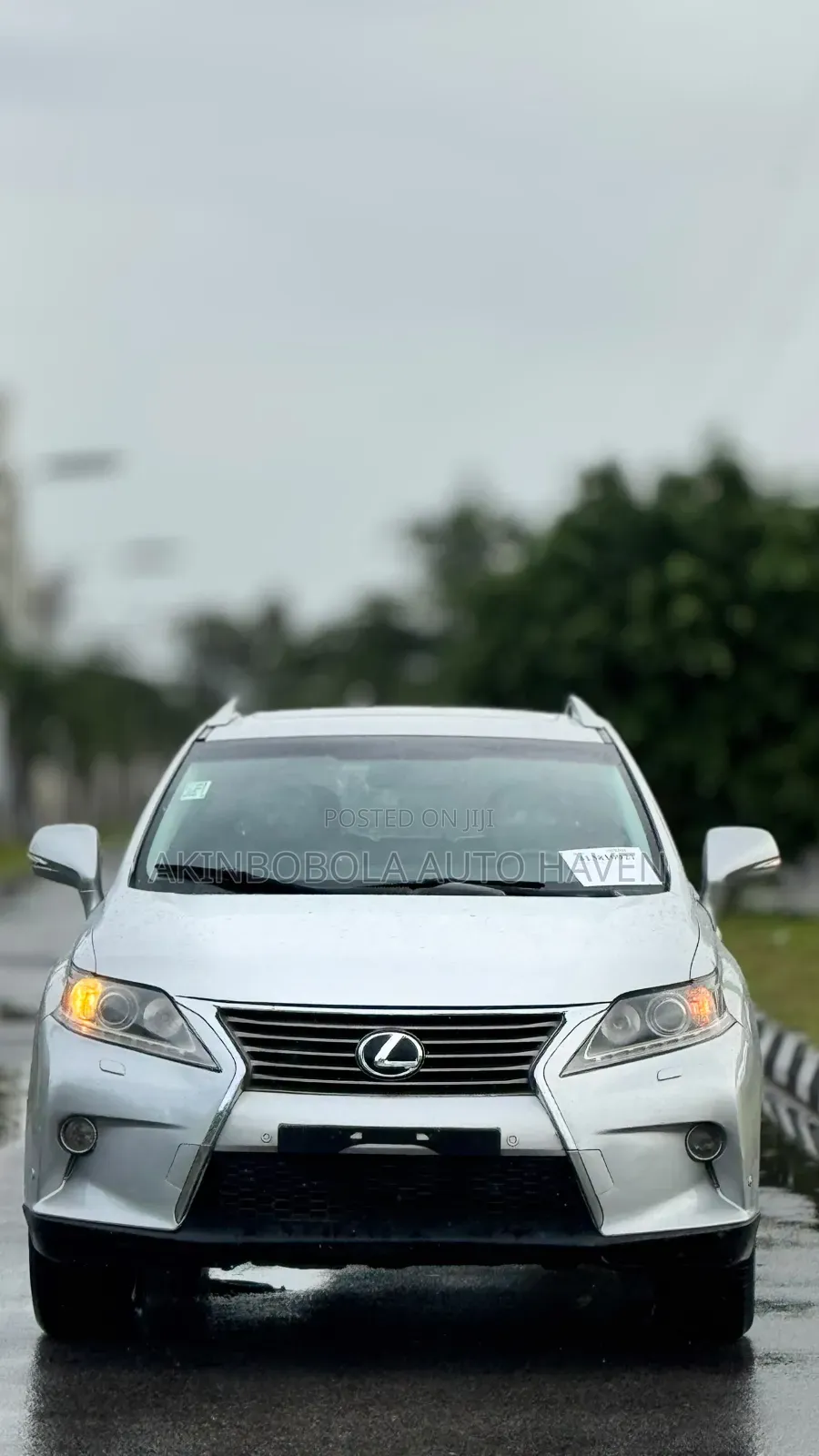 Lexus RX 2013 Silver