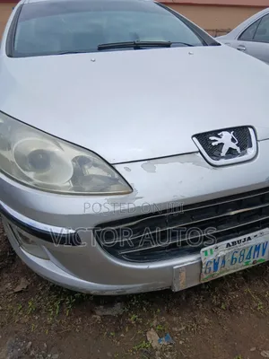 Peugeot 407 1999 Silver
