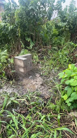 Plot of Land