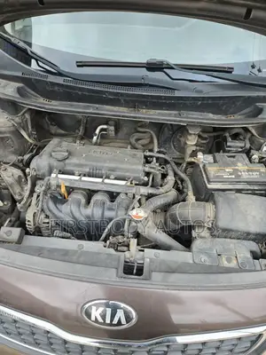 Kia Rio 2014 Gray