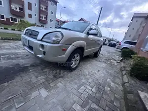 Hyundai Tucson 2009 Silver