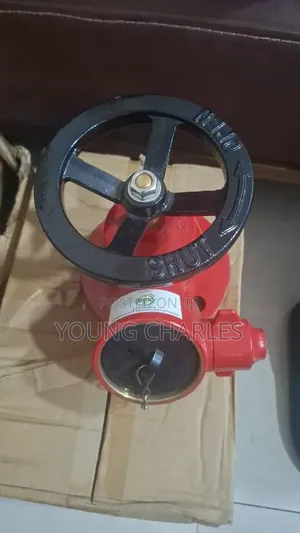 2.5" Flange Type Landing Valve