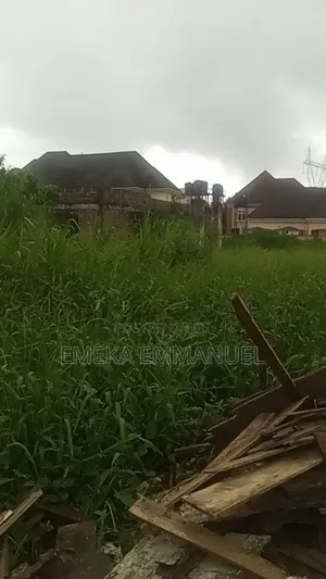 1 Plot of Land for Sale at Immigration Aguoka