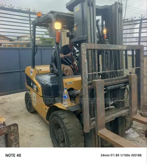 3tons Caterpillar Forklift Just Arrive Available for Sale