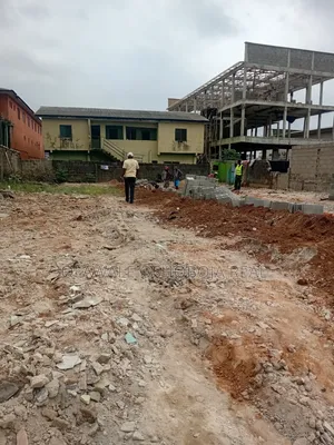 Virgin Land