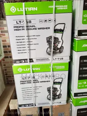 Original Lutian Pressure Washer