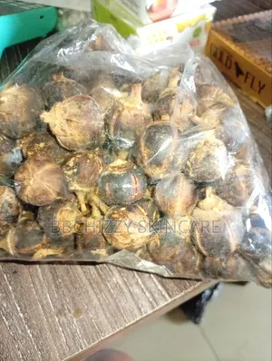Gorontula Fruit