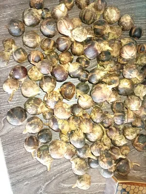 Gorontula Fruit