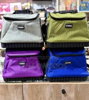 Lunch Bags for Kids and Adults