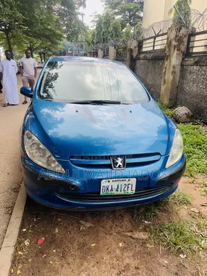 Peugeot 307 2007 Blue