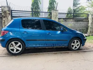 Peugeot 307 2007 Blue