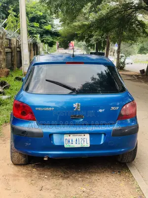 Peugeot 307 2007 Blue